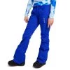 Burton Gloria Pants - Women's -Burton Sales 2022 burton gloria pants women s 0